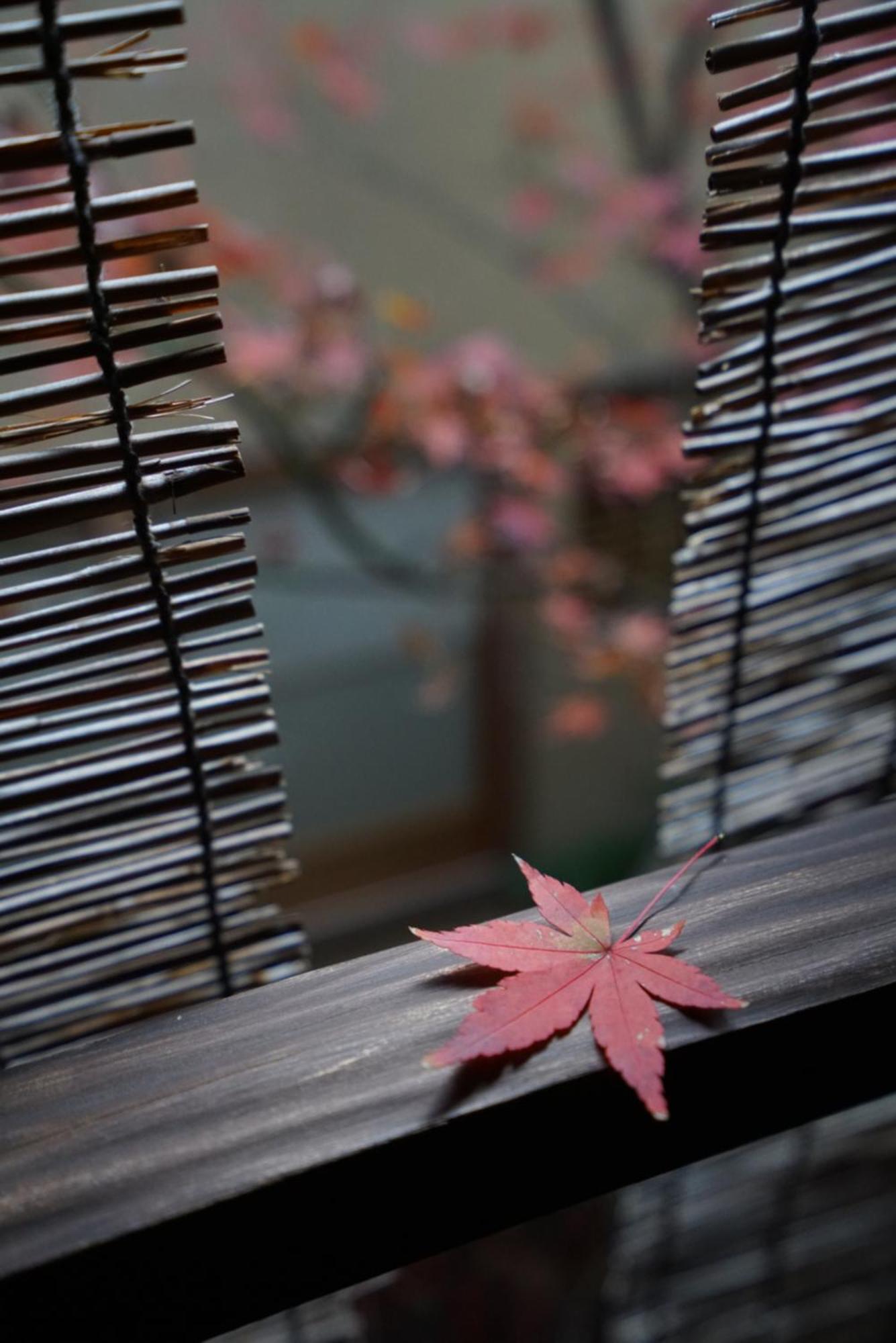 Ryokan Tori Kyoto Exteriör bild