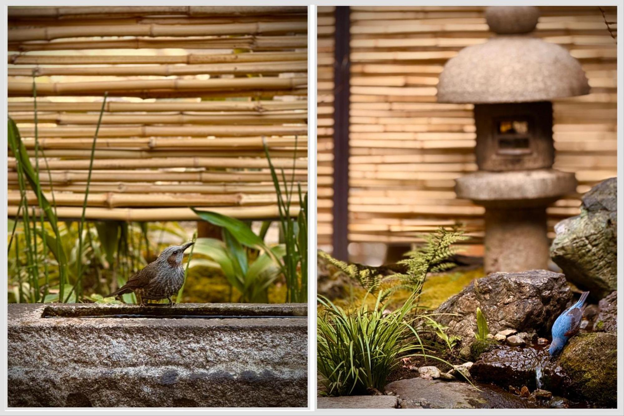 Ryokan Tori Kyoto Rum bild